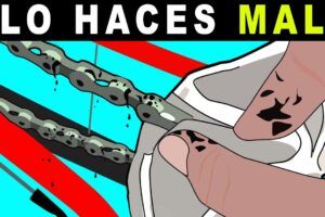 Todo Lo Que Debes Saber Sobre Los Portabultos Para Bicicletas De 29 Pulgadas