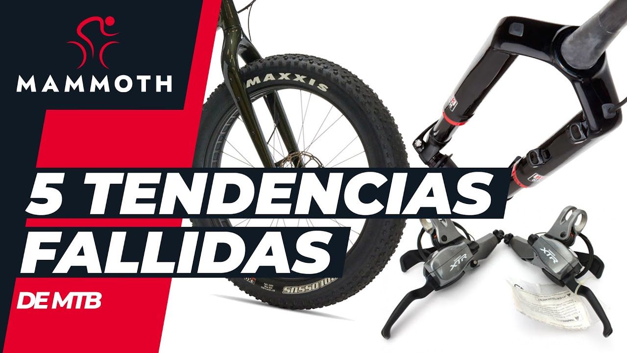 Descubre Las Caracter sticas Y Ventajas De La Bicicleta Indur