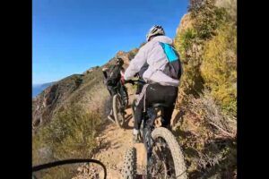 Bicicleta Sin Pedales Sawyer: La Opción Ideal Para Que Los Más Pequeños Aprendan A Montar En Bici