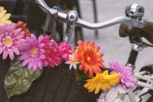 Adorna Tu Bicicleta Con Hermosas Flores