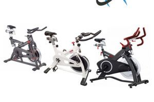 Análisis De La Bicicleta Spinning Vixxon Sx 20 Pro: Opiniones, Características Y Precio