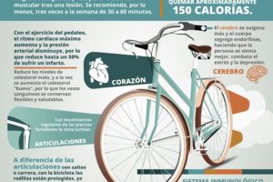 Beneficios De La Bicicleta Estática Para La Próstata 4 Beneficios De La Bicicleta Estática Para La Próstata