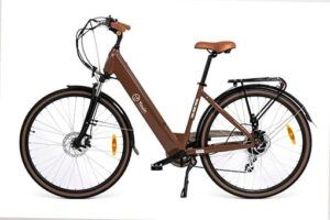Bici Eléctrica Viena: La Revolución Sobre Ruedas