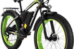 Bicicleta Eléctrica: Potencia Y Eficiencia Con Batería De Litio