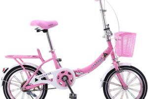 Bicicleta Rosa De 20 Pulgadas: Una Opción Encantadora Para Los Amantes Del Ciclismo