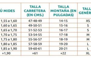 Cuadro De Bicicleta De Carretera Talla 48: Características Y Recomendaciones