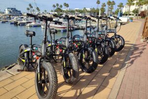 La Increíble Bicicleta Flebi: La Mejor Opción Para Tus Recorridos En Bici