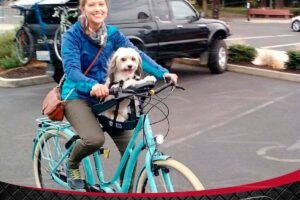 La Mejor Silla Para Perro En Bicicleta: ¡Pasea Con Tu Mascota De Manera Segura!