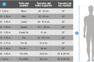 Las Mejores Tallas De Bmx Race Para Arrasar En La Pista