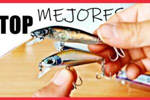 Los Señuelos Spinning Más Efectivos