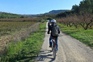 Vino Bicicleta: Una Combinación Perfecta Para Los Amantes Del Ciclismo